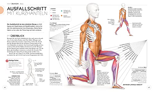 Krafttraining – Die Anatomie verstehen: Mit Übungen zum gezielten Muskelaufbau für einen definierten Körper