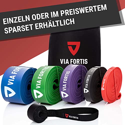 VIA FORTIS Fitnessbänder + Anleitung & Tasche - Widerstandsbänder/Trainings-Bänder für Fitness & Krafttraining.