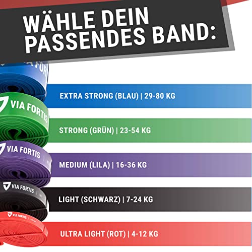 VIA FORTIS Fitnessbänder + Anleitung & Tasche - Widerstandsbänder/Trainings-Bänder für Fitness & Krafttraining.