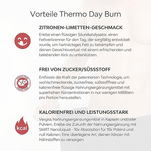 Abnehmen schnell Fettverbrenner Thermo Day Burn, 9-in-1 Formel, Stoffwechsel beschleunigen abnehmen. 100% natürlich, hochdosiert, vegan.